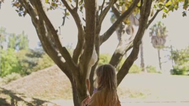 Güneşli bir günde parkta ağaca tırmanırken eğlenen bir çocuk.