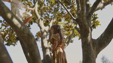 Manolya ağacına tırmanan kız ve erkek kardeşler