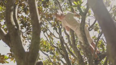 Mutlu aile birlikte manolya ağacına tırmanırken eğleniyor.