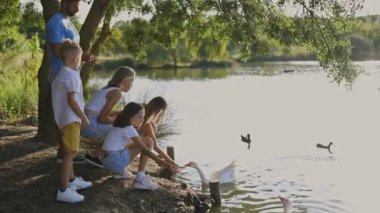 Huzurlu göl ortamında ördek ve kuğu besleyen mutlu bir aile.