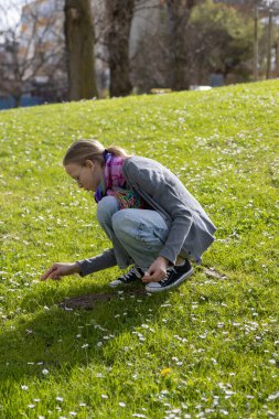 Baharda yeşil çimlerde papatya toplayan genç bir kız.