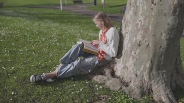 Öğrenci açık havada okumayı, güneşli bir parkta bir ağacın altında oturmayı sever.