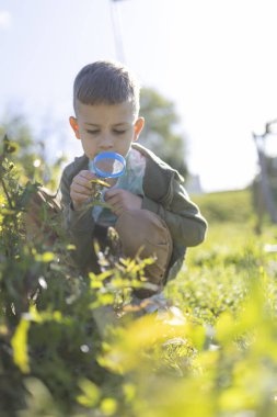 Büyüteçle bitkileri keşfeden genç bir çocuk güneşli bir bahçede doğanın harikalarını keşfediyor.