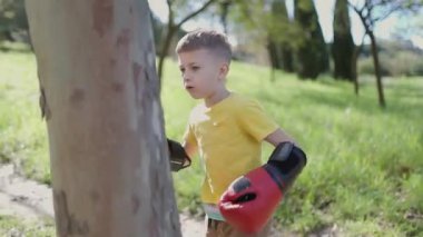 Çocuk ağaç gövdesinde boks antrenmanı yapıyor.