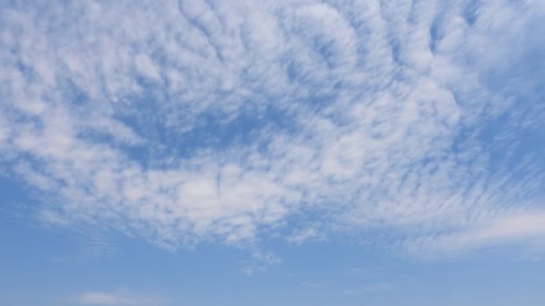 Blauwe Lucht Met Witte Cumulus Wolken — Stockvideo