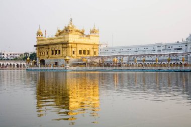 Harimandir Sahib mandir veya altın tapınak, Amritsar, Punjab, Hindistan