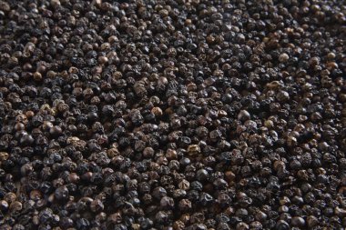 Baharatlar, karabiber sırıtış kavalcı nigrum kavalcı longum 