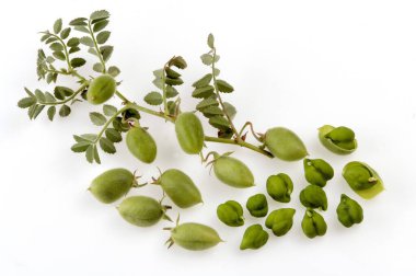 Beyaz arkaplanda yeşil Gramlar