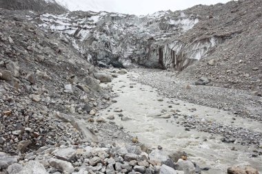 Bhagirathi Nehri Gangotri Uttarakhand Hindistan Asya 'dan akıyor.