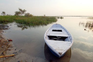 Gün batımında boş tekne, Nalsarovar kuş barınağı, Gujarat, Hindistan 