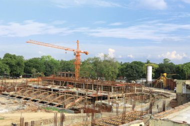 Turna, Delhi, Hindistan şantiyesinde. 