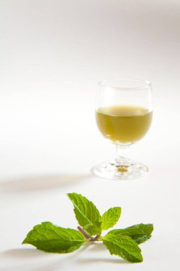 Yeşil baharatlar, beyaz arka plana karşı nane suyu