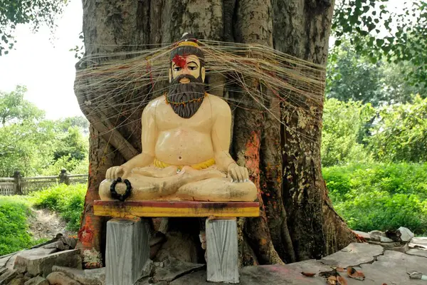 Varanasi 'deki Valmiki Banaras Hindu Üniversitesi heykeli, Uttar Pradesh, Hindistan 