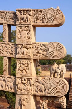 Stupa 1 'in doğu kapısına yakın güney sütunu, Sanchi Bhopal, Madhya Pradesh, Hindistan 