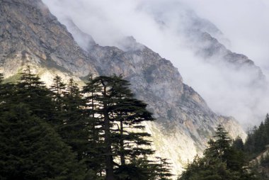 Himalaya manzarası ve akşam ışığı ve Gangotri, Uttaranchal, Hindistan 'da kötü hava.