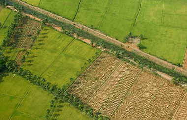 Ekinlerin ve ekili tarlaların havadan görünüşü, Andhra Pradesh, Hindistan