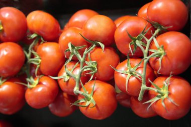 cherry tomatoes on branches close up on dark background  clipart