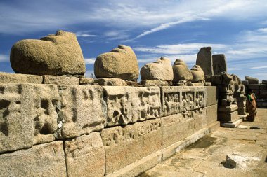 Nandi heykelleri kıyı tapınağının duvarında, Mahabalipuram Mamallapuram, Tamil Nadu, Hindistan