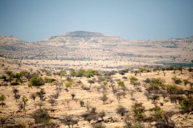 Tekil köy yakınlarında terk edilmiş bir arazi, Single, Maharashtra, Hindistan