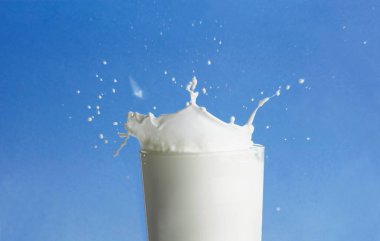 İçecek, süt mavi arka planda camdan fışkırıyor.