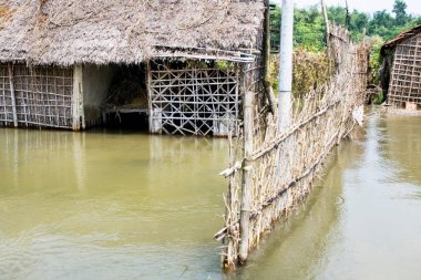 Bihar 2008 'de Purniya Bölgesi, Bihar, Hindistan' da Kosi Nehri 'nin taşması