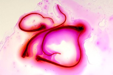 Baharatlar, lavanta arkaplanındaki sudaki safran ipliği