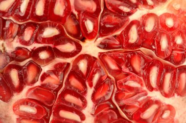 Meyveler, nar kırmızısı tohumlar.