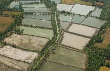 Göl manzaralı ekilmemiş alan, Andhra Pradesh, Hindistan