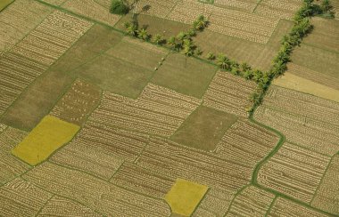 Ekinler için hava manzarası, Andhra Pradesh, Hindistan