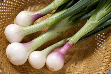 Taze soğan beş taze yeşil beyaz salata sebze kamışı sepeti