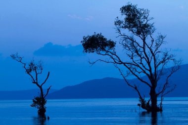Andaman Adası, Hindistan Asya 'daki Port Blair yakınlarında Chidiya tapu. 