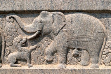 Swami Vivekananda Kaya Anıtı Mandapam, Kanyakumari, Tamil Nadu, Hindistan 'ın duvarında Aslan yardım taşı oyması ile fil dövüşü