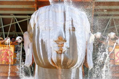 18 metre yüksekliğindeki Bhagwan azizi gomateshwara bahubali 'nin mahamasthakabhisheka Jain festivali, Hindistan' ın Karnataka şehrinde Şravanabelagola, Şubat _ 2006 'da yağan süt