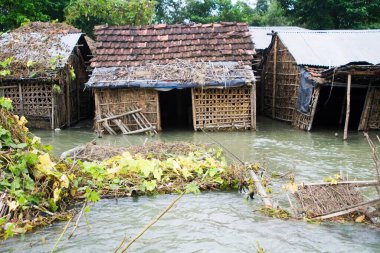 Bihar 2008 'de Purniya Bölgesi, Bihar, Hindistan' da Kosi Nehri 'nin taşması