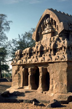 Dharmaraja rath, Mahabalipuram Mamallapuram, Tamil Nadu, Hindistan