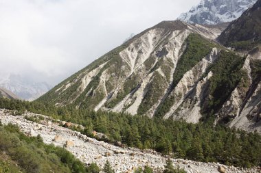 Gangotri Dağı Uttarakhand Hindistan Asya