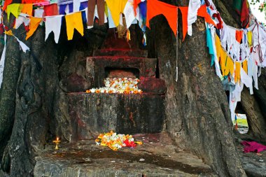 Gautama Buddha doğum yeri Lumbini, Nepal Unesco Dünya Mirası