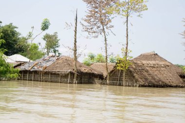 Bihar 2008 'de Purniya Bölgesi, Bihar, Hindistan' da Kosi Nehri 'nin taşması