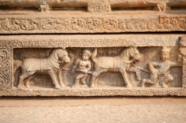 Vitthal tapınak duvarında at tüccarı heykeli, Hampi, Karnataka, Hindistan