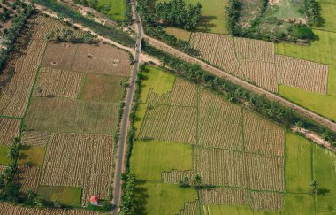 Ekinlerin ve ekili tarlaların havadan görünüşü, Andhra Pradesh, Hindistan