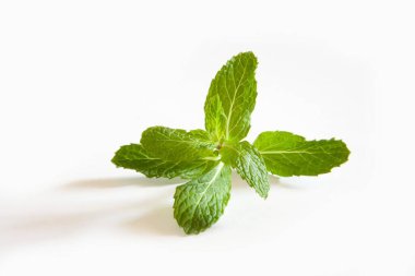 Hint baharatı, taze nane beyaz arka planda Pudina Mentha 'dan çıkar. 