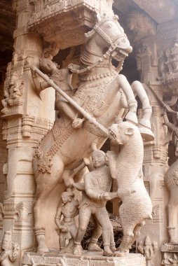 Sri Ranganathswami Tapınağı, Srirangam, Tiruchirapalli Trichy, Tamil Nadu, Hindistan 'da Sesharayar Mandapam' ın sütununda vahşi hayvanlarla savaşan at üzerindeki savaşçı heykeli.