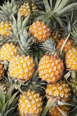 Meyve, Ananas ezmesi.