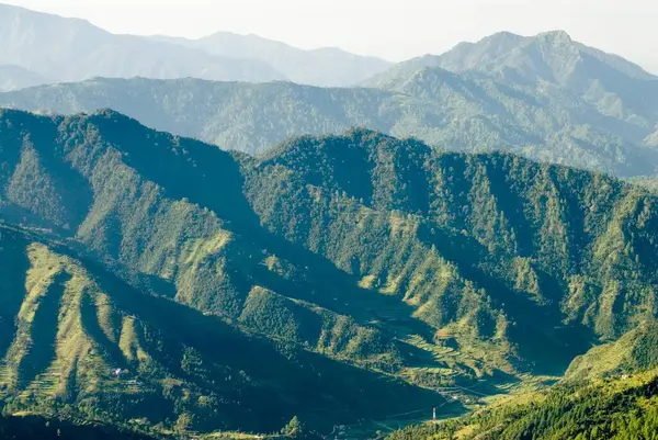 Sabah vakti Uttaranchal, Hindistan 'daki Kaddukhal tepe istasyonundan yeşil vadi. 