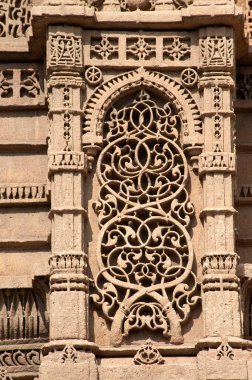 Rani Sipris Camii, Ahmedabad, Gujarat, Hindistan 'ın duvarına bitki oyma. 