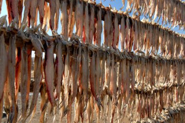 Kurutulmuş balık, yakın çekim, Hindistan