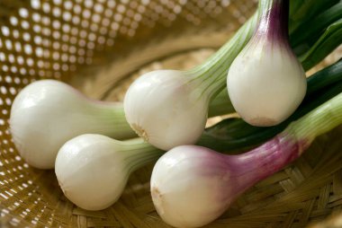 Taze soğan beş taze yeşil beyaz salata sebze kamışı sepeti