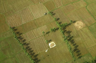 Ekinlerin ve ekilmemiş tarlaların havadan görünüşü, Andhra Pradesh, Hindistan