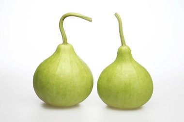 Pair of green gourds, India clipart