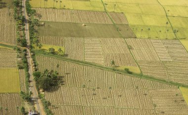 Ekinler için hava manzarası, Andhra Pradesh, Hindistan 
